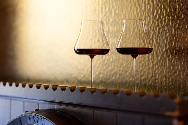 Il nuovo calice per l'Amarone disegnato ripren