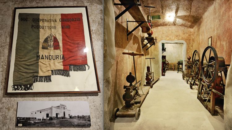 Immagini dal Museo della Civiltà del Vino Primiti