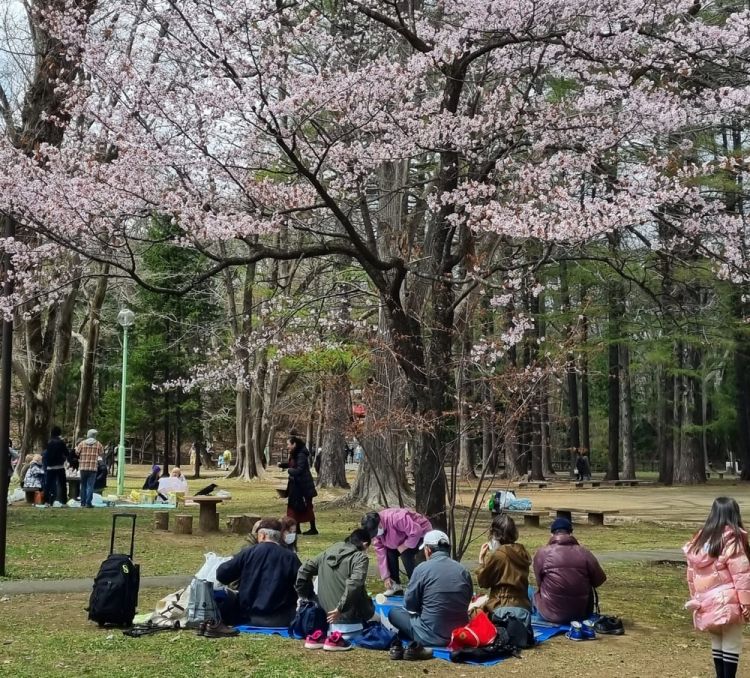 Il parco di Maruyama
