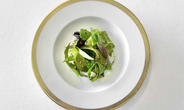 Cetriolo e misticanza - Il menu si apre con il cetriolo, lavorato in due modi. Una parte viene resa quasi “vitrea” o cristallizzata: il cetriolo viene pressato con i propri succhi, ottenendo una consistenza insolita, tanto che viene consigliato di mangiarlo intero, senza tagliarlo. Una seconda lavorazione diventa invece glassa, usata per condire una misticanza di foglie di campo selezionate soprattutto per le loro note amare e piccanti. I piccoli semi in superficie sono senape fermentata, che aggiunge ulteriore piccantezza. In accompagnamento arriva un pane in cassetta di grani antichi, Solina e Saragolla, bagnato con i succhi di cetriolo e senape, quasi fosse una prosecuzione del piatto. Rigore quasi magico tra notedi salsedine/salmastro, poi di amaro, poi di dolce, poi di balsamico. Il pane bagnato è freddo, austero, dritto
