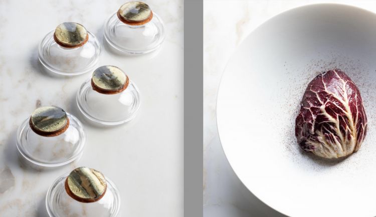 Sardine, condimento al pissalat e cracker di farin