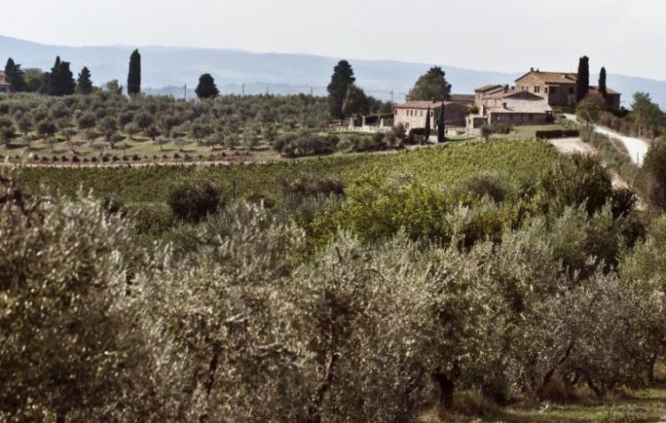 Uno sguardo panoramico del Relais Riserva di Fizza