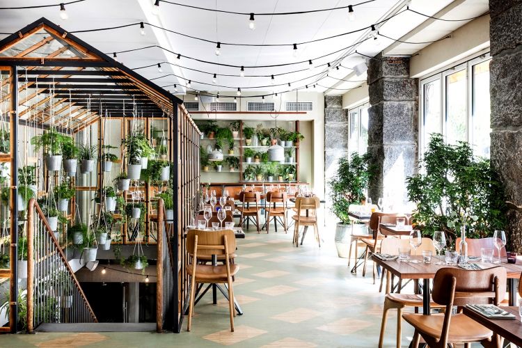 La sala green di Vaekst, indirizzo da seguire del