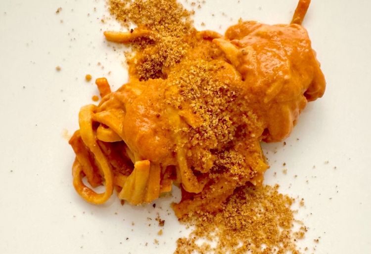 Sagna penta con ragù di carne di cavallo, ricotta forte e mollica di pane, del ristorante Cibus di Ceglie Messapica (Brindisi)
