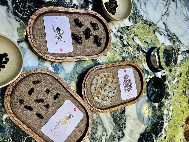 Il display di formiche chicatana, escamoles e cocopache arriva solo dopo aver assaggiato gli insetti. Sono 3 ingredienti parte della cultura messicana
