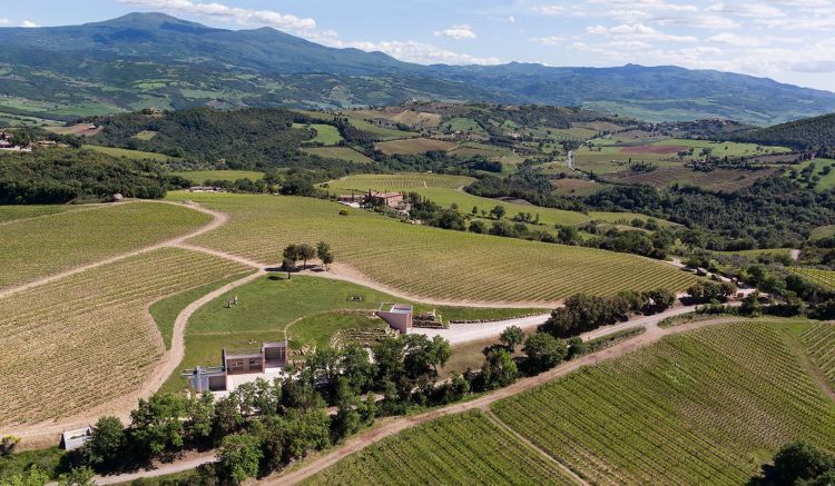 La tenuta di Allegrini denominata San Polo, a Montalcino in Toscana
