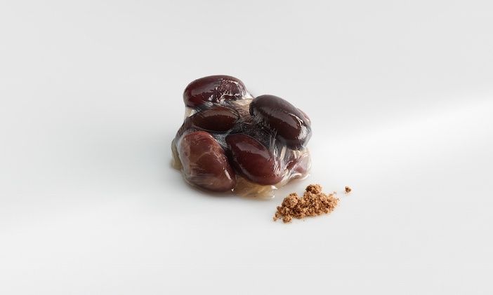 Alubias Dulzura: dark skin. Beans (injected with pectinasa) and mushrooms after what remains of a classic kombucha fermented for one day, and powdered cinnamon. It’s a play that reproduces the flavour and texture of kidneys, but vegetal. Photo José Luis López de Zubiría
