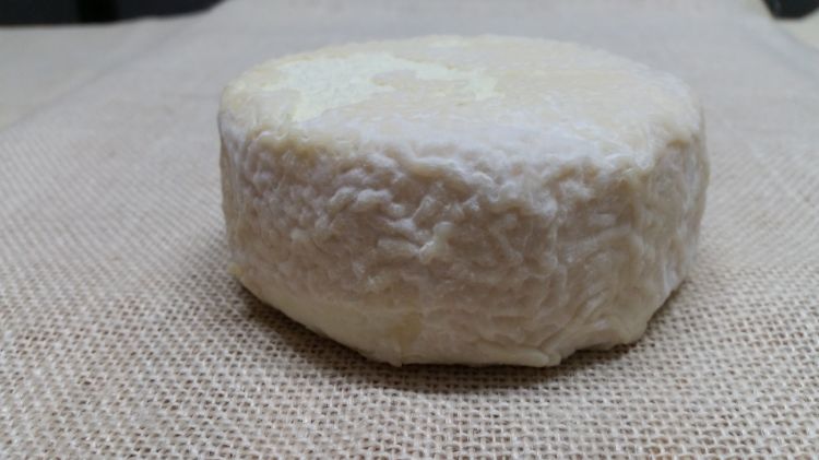 La Carciofa, un newborn cheese in casa Montalbo
