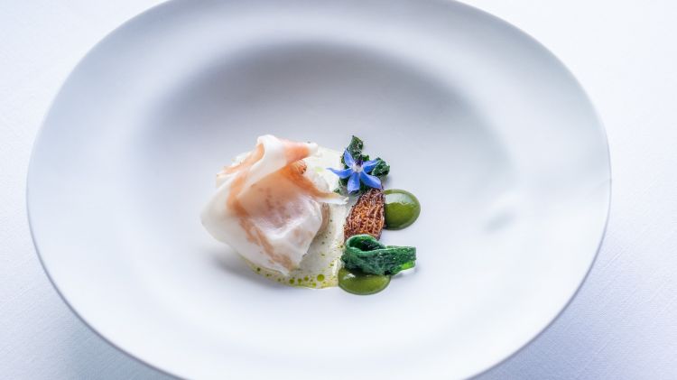 Rana pescatrice, acciuga, erba cipollina, spugnola, gota. Un elegante surf 'n' turf: "gota" sono le guance di suino di Cinta senese, un abbinamento che viene dalla saggezza popolare, che considerà la rana pescatrice come un vero maiale del mare