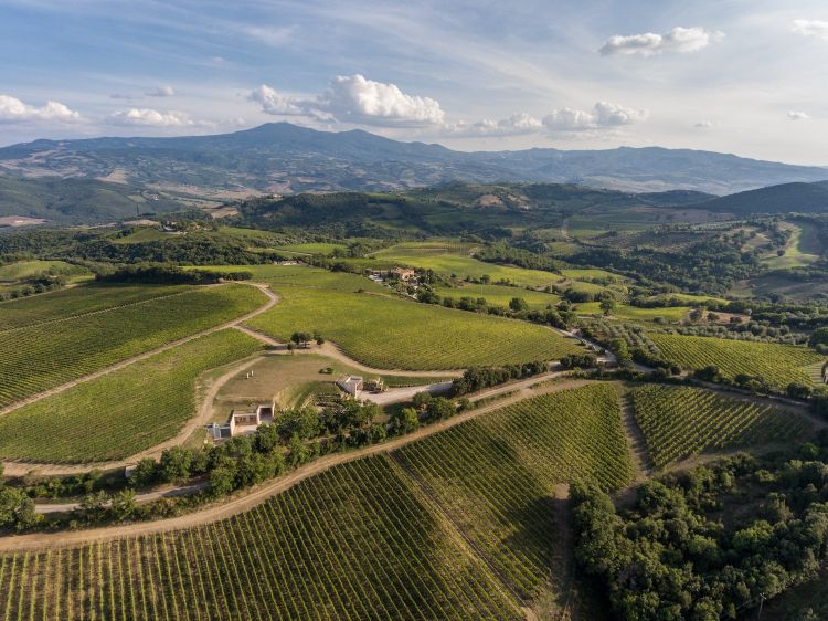 La tenuta di San Polo e, sotto, i suoi vini
