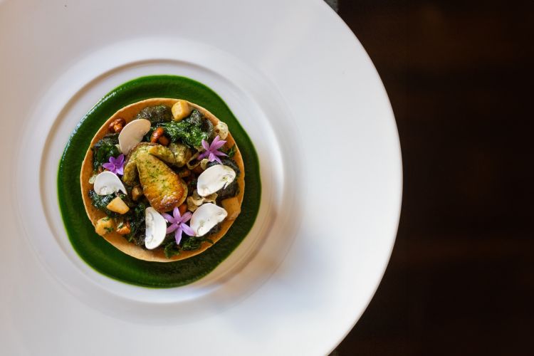 Tarte di lumache e champignons di bosco. Foto&nbsp;Maki Manoukian
