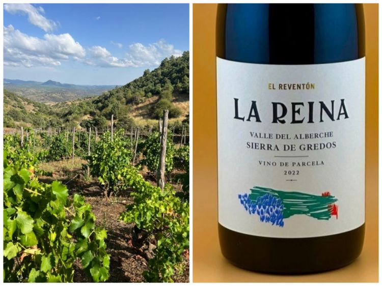 La vista dai vigneti del nuovo progetto vinicolo di Ale in Spagna, El Reventón (“la grande festa”), nella sierra de Gredos, a 125 km da Madrid. Il vigneto antico nella foto è stato venduto ad Ale da Comando G.