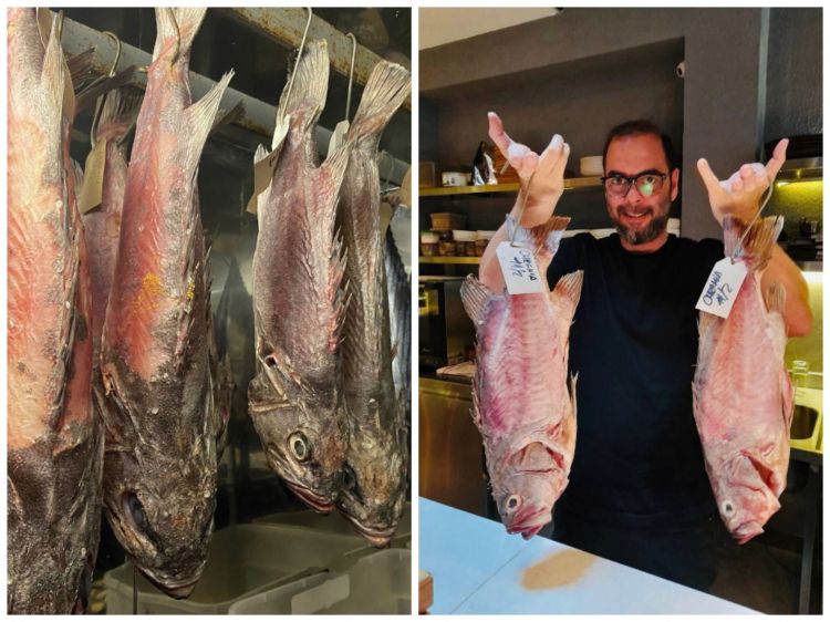 Oggero con due belle cernie e un particolare della cella di frollatura del pesce
