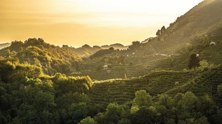 Le colline di Conegliano e Valdobbiadene
