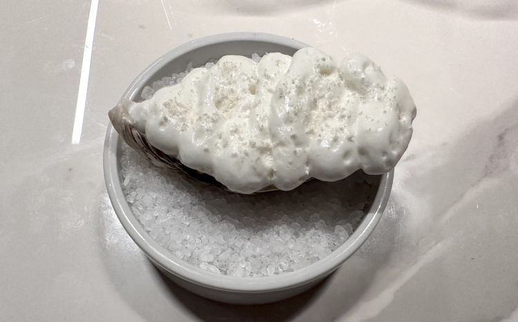 Piatto bonus: Coccobello al mare, con tre consistenze di cocco e un’inaspettata ostrica ghiacciata, a pezzetti. Incredibile la resa di questo piatto: sembra di mangiare il cocco sulla battigia!
