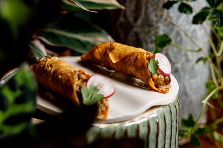 Cannoli con anatra, funghi e cavolo cinese
