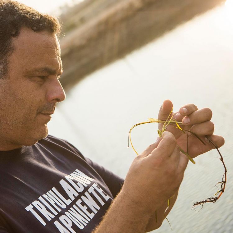 Ángel León e la Zostera marina
