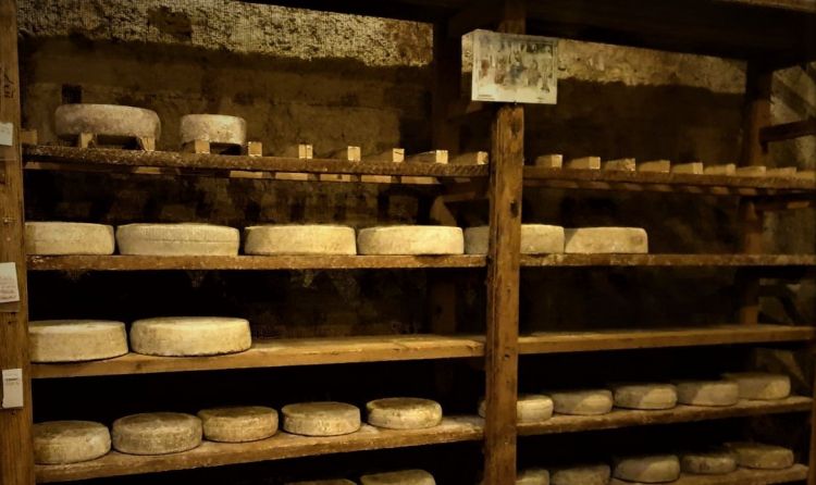 La cantina di stagionatura