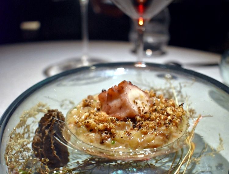 Andean potato risotto, Manchego cheese, morels, smoked octopus, wild rice. Perhaps the best octopus I have ever tasted