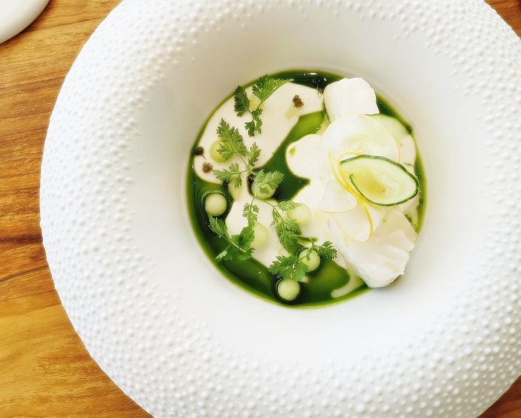 Turbot, cucumber, yogurt and fennel flowers, a very delicate dish, transparent like glass 
