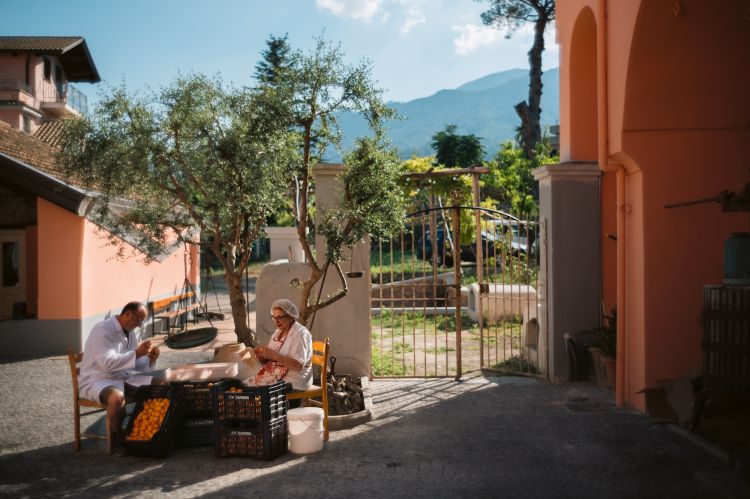 Le albicocche "crisommole del Vesuvio" appena raccolte vengono selezionate e preparate per la confettura da Annamaria Rosaria Aliperta e Pierfrancesco Ammendola