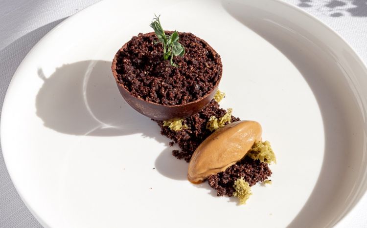 Terramisu
