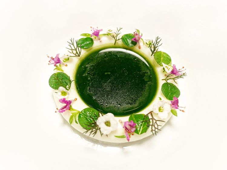 Sheep’s milk, sorrel, canola
