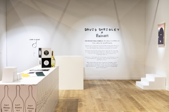 Le splendide creazioni di arte contemporanea dell’artista britannico David Shrigley