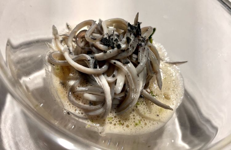 Sashimi tiepido di angulas fritte al contrario (alcune cotte, alcune crude) con veloutè (senza latte né farina) di molluschi da roccia al Riesling, funghi enoki e pulpets (polpetti catalani alla brace), finito con sale vulcanico indiano
