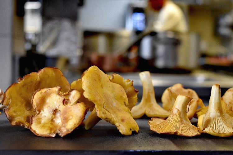 In the kitchen of Mirazur. «Mushrooms are fruits of the forest» Colagreco explains. Indeed what we pick as mushrooms is the fruit of a thick net of underground filaments, the mycelium
