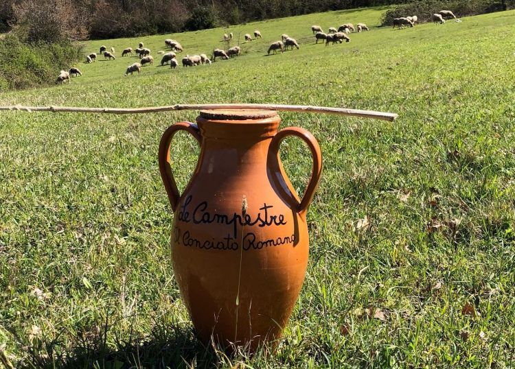 Un Conciato Romano nella sua tipica anfora di terr