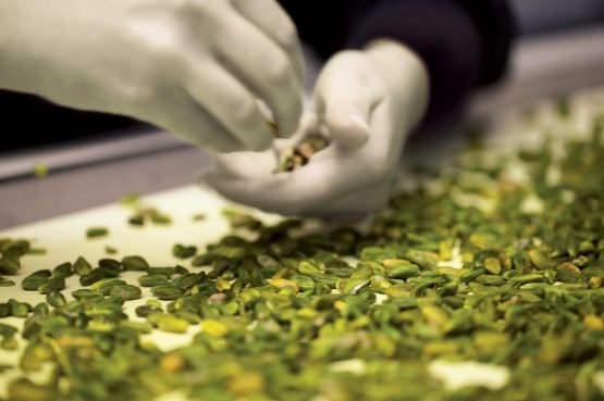 Lavorazione del Pistacchio verde di Bronte (Ct)