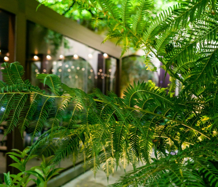 Particolare del giardino interno
