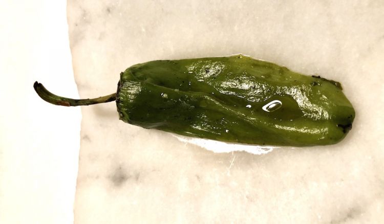 Estados verde: green pepper, the significant aromatic note of Cabernet Franc and Cabernet Sauvignon...
