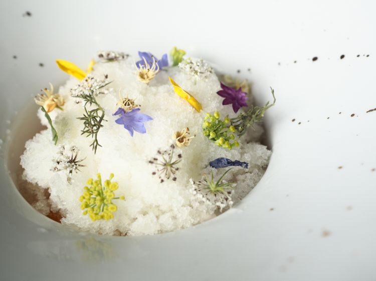 Frozen Dehesa: Sweet and sour vegetables, tomato granita and dehydrated flowers
