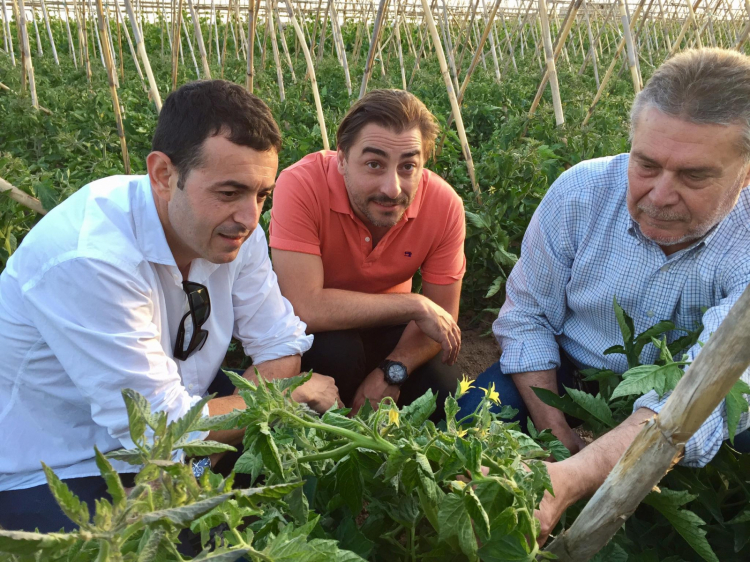 Camarena in the vegetable garden with Jordi Roca
