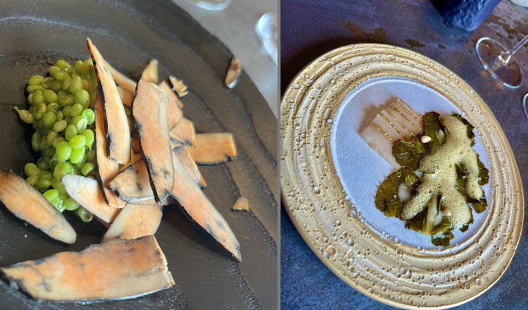Fegato di rana pescatrice, pisella lagrima e carruba e Cavolo marino con guanciale di pesce
Due esempi perfetti del nuovo vocabolario del mare di Aponiente (ne avevamo parlato qui)
