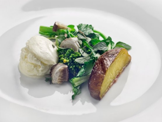 Burrata e rapini al vapore conditi con erbe, olio 
