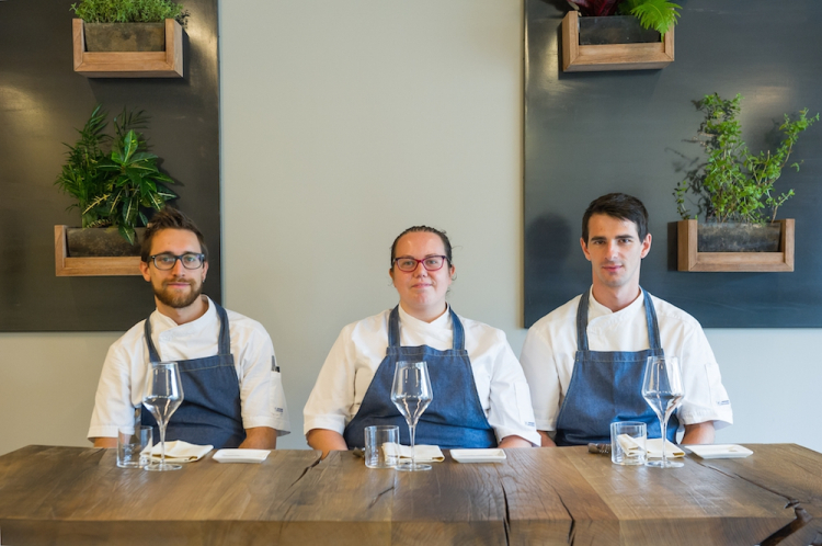 Jonathan Signorelli, Cinzia Musmetti e William B