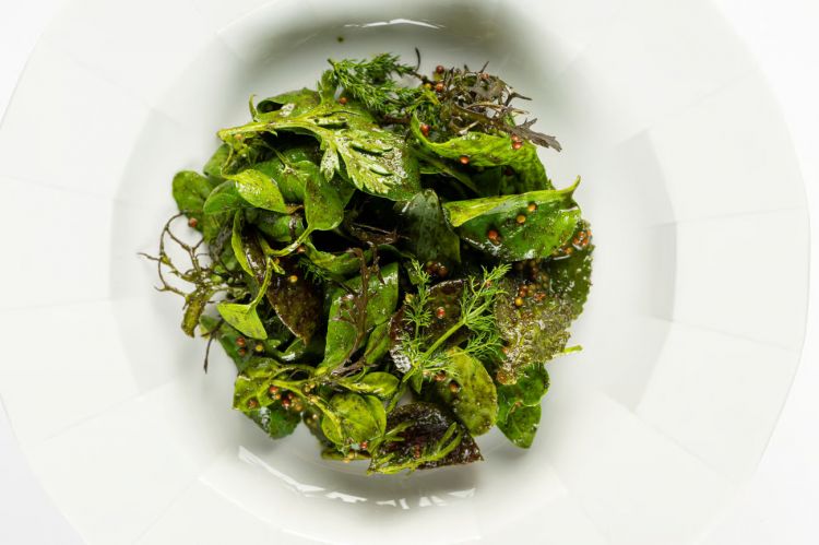 Misticanza invernale, cime di rapa, senape e liquirizia, il secondo piatto del menu invernale, vegeteli&nbsp;conditi&nbsp;con altri vegetali
