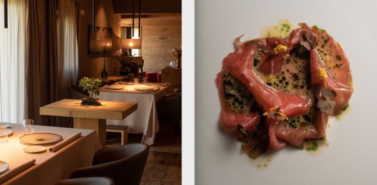 Particolare di sala e Albese di filetto marinato