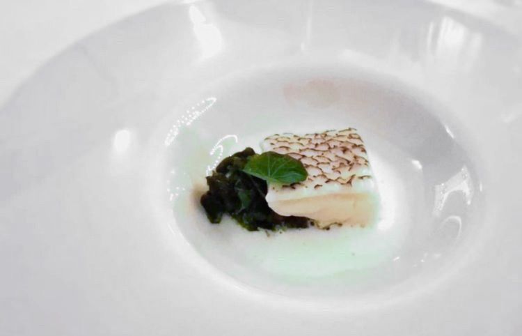 Filetto di Glacier 51

