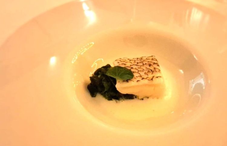 Filetto di Glacier 51
