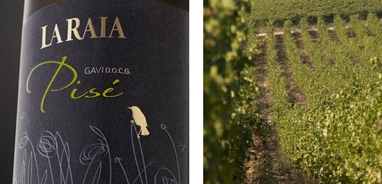 Pisè, il Gavi ricavato da vigne di oltre 70 anni