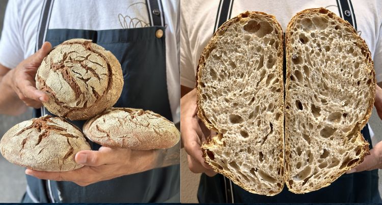Pane farina di segale e semi-integrale
