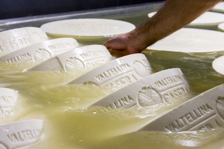 Il Valtellina Casera si prepara quando le mandrie sono ancora a fondo valle, ha una stagionatura giovane a 70 giorni per arrivare fino a 10 mesi. È il formaggio principe dei piatti tradizionali, primi tra tutti i pizzoccheri