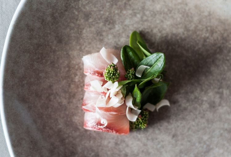 Volpina maturata 10 giorni, cagliata di fiori di mandorle e aceto di prugnolo, miso di mandorle, aptenia cordifolia (pianta che cresce nei vasi dei fiori delle signore di Burano), ghiacciata di bucce di pisello. Brutto: «Il pesce fresco fa quasi sempre schifo», spiega tranchant, «perché la carne di un pesce che lotta indurisce e rilascia acido lattico. Maturazioni e fermentazioni servono ad assorbirlo»