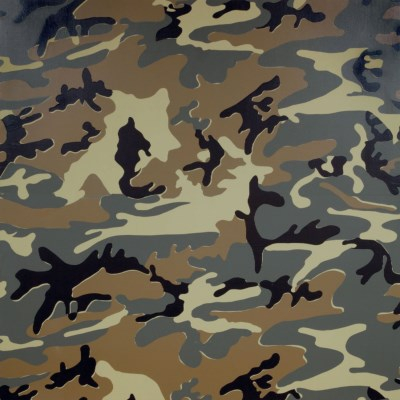 Camouflage, Andy Warhol, 1986
