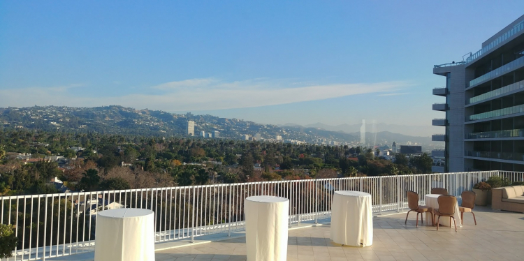 The view from the Beverly Hilton
