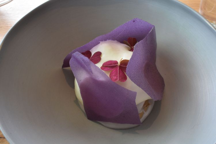 Dessert. Base di patate vitellotte, spuma di miele, crème glacée di caffé, chips di patata vitellotta, oxalis, acetosella